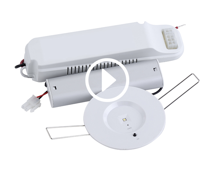 D40-R-1 اضطراری LED Downlight