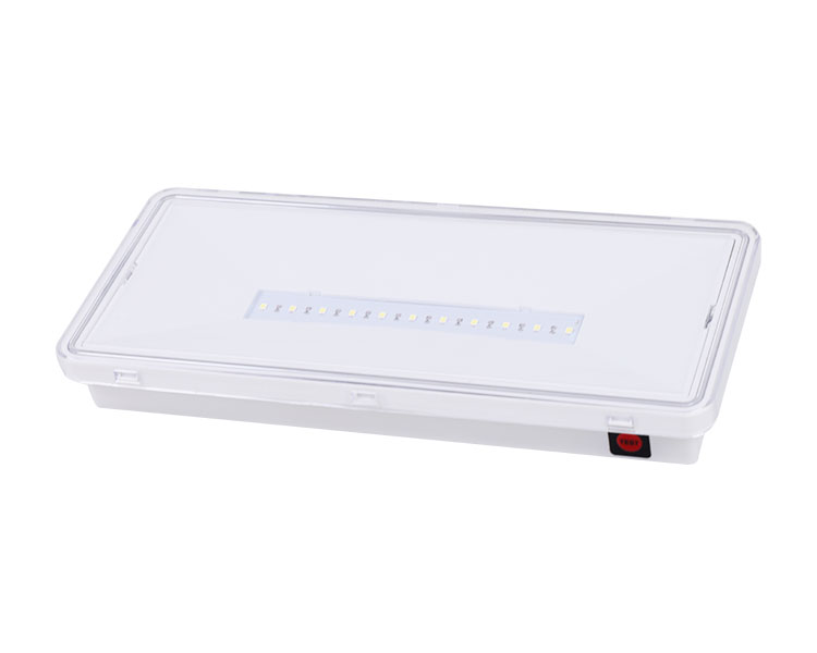 LE515-11 11LED LUMINAIRES-IP65