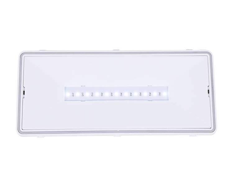 LE515-11 11LED LUMINAIRES-IP65