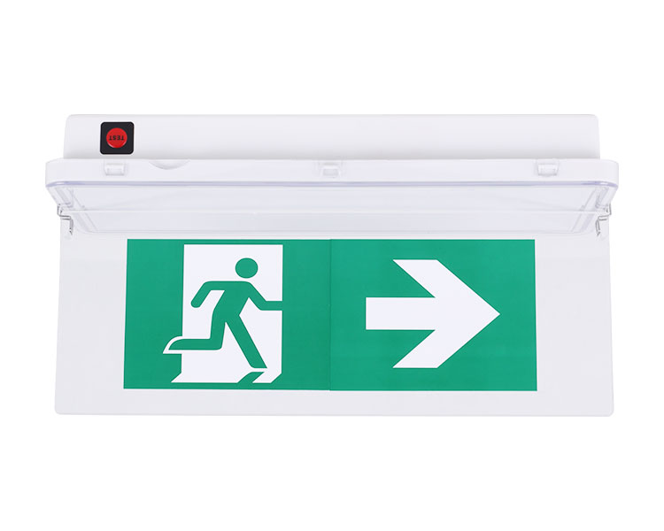 LE515-11 11LED LUMINAIRES-IP65